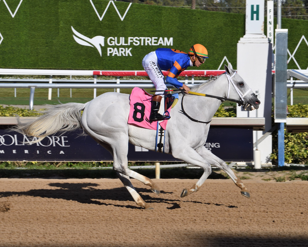 Racetrack roundup: 9YO Mish upstages youngsters at Gulfstream Park
